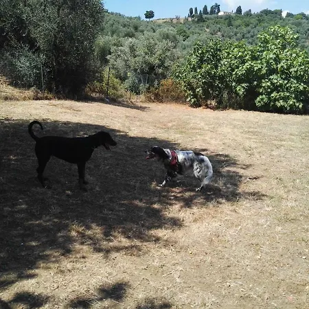 Dolce Campiglia Marittima