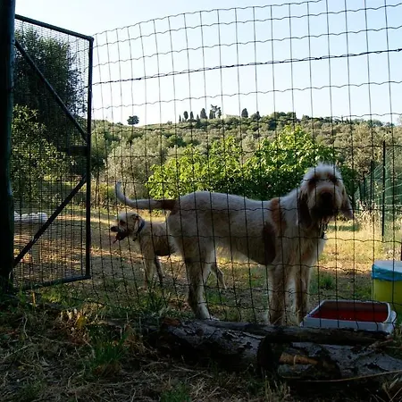 Dolce Appart hôtel 4*