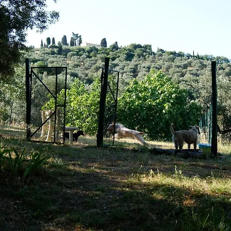 Aparthotel Dolce